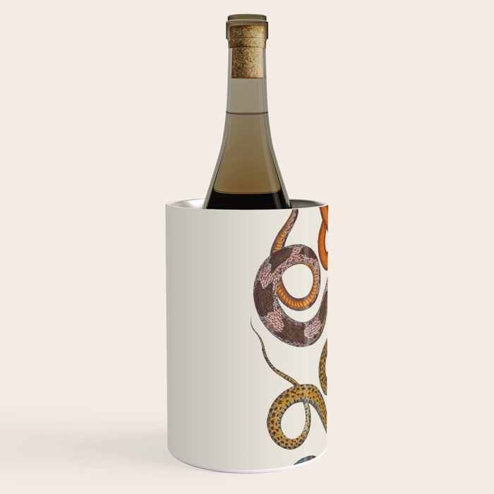 Albertus SEBA four snake scales  Wine Chiller Gallery Image 2