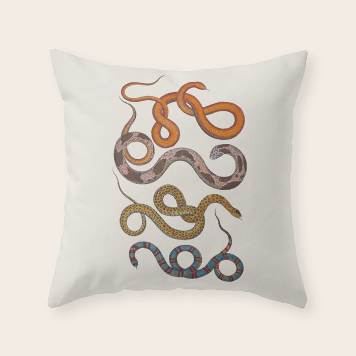Albertus SEBA four snake scales  Throw Pillow Gallery Image 6