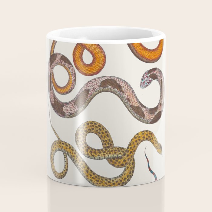 Albertus SEBA four snake scales  Coffee Mug Gallery Image 4