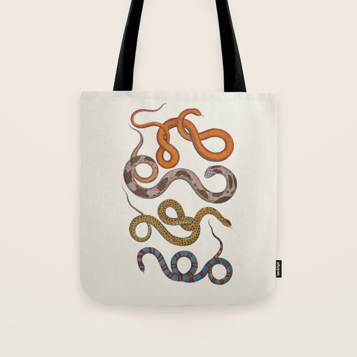Albertus SEBA four snake scales  Tote Bag Gallery Image 1