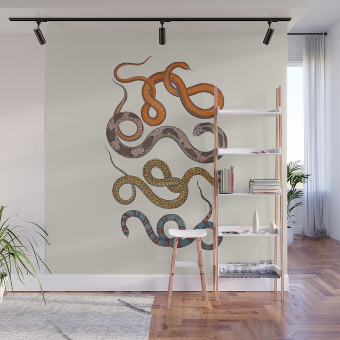 Albertus SEBA four snake scales  Wall Mural Gallery Image 1