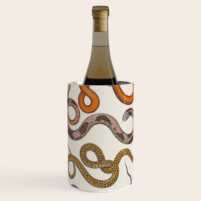 Albertus SEBA four snake scales  Wine Chiller Gallery Image 1