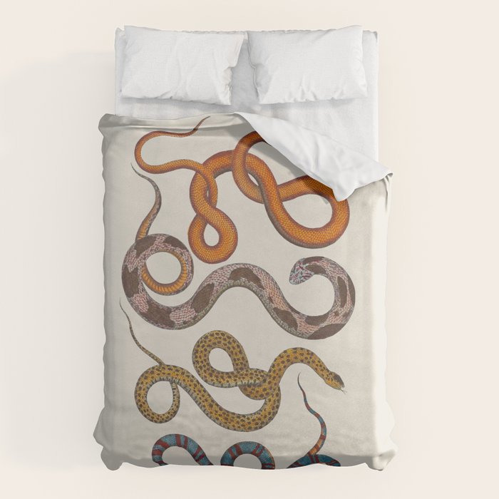 Albertus SEBA four snake scales  Duvet Cover Gallery Image 1