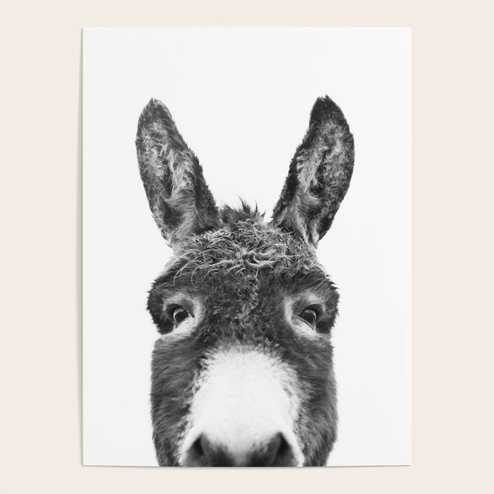 Hey Donkey BW Poster Gallery Image 3