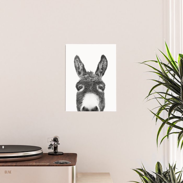 Hey Donkey BW Poster Gallery Image 2