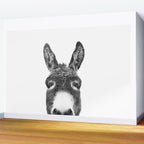 Hey Donkey BW Wall Mural Gallery Image 2