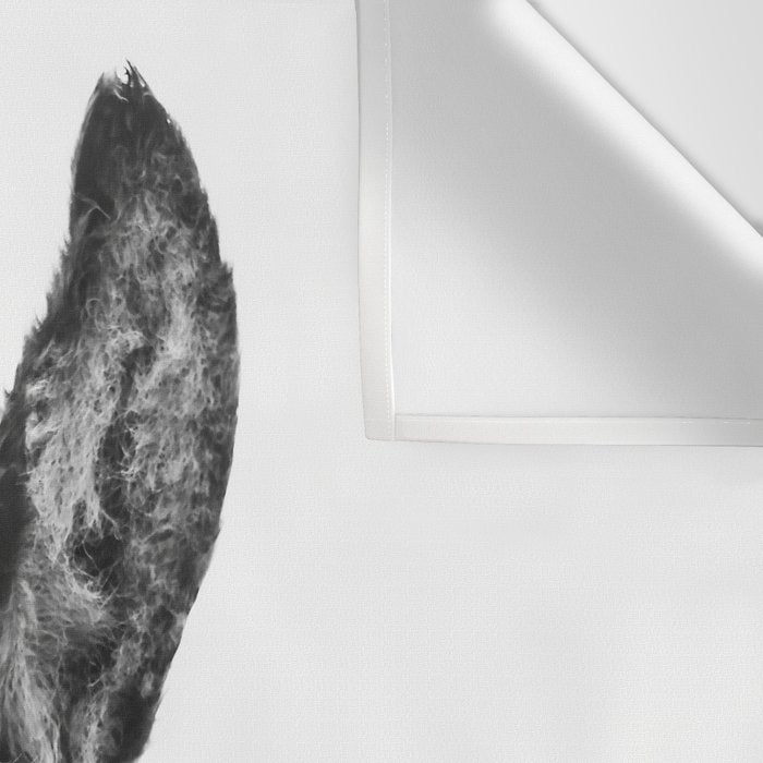 Hey Donkey BW Wall Tapestry Gallery Image 3