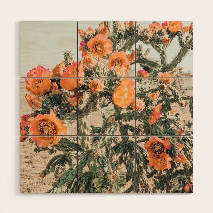 Cholla, Orange Flowering Cactus Wood Wall Art