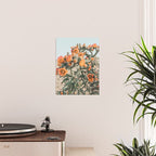 Cholla, Orange Flowering Cactus Poster Gallery Image 2