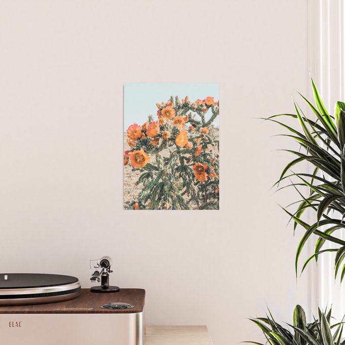Cholla, Orange Flowering Cactus Poster Gallery Image 2