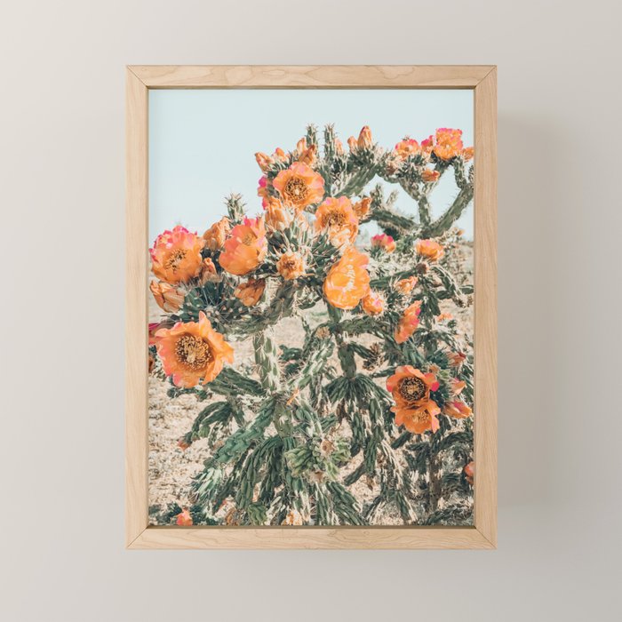 Cholla, Orange Flowering Cactus Mini Art Print Gallery Image 1