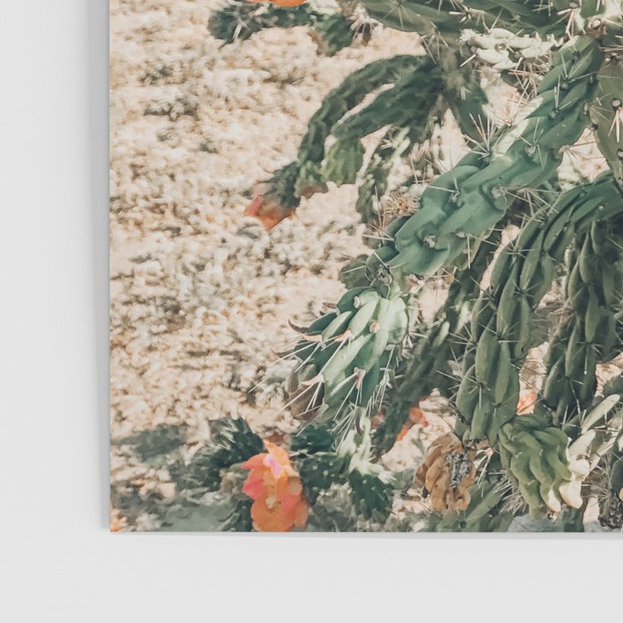 Cholla, Orange Flowering Cactus Poster Gallery Image 3