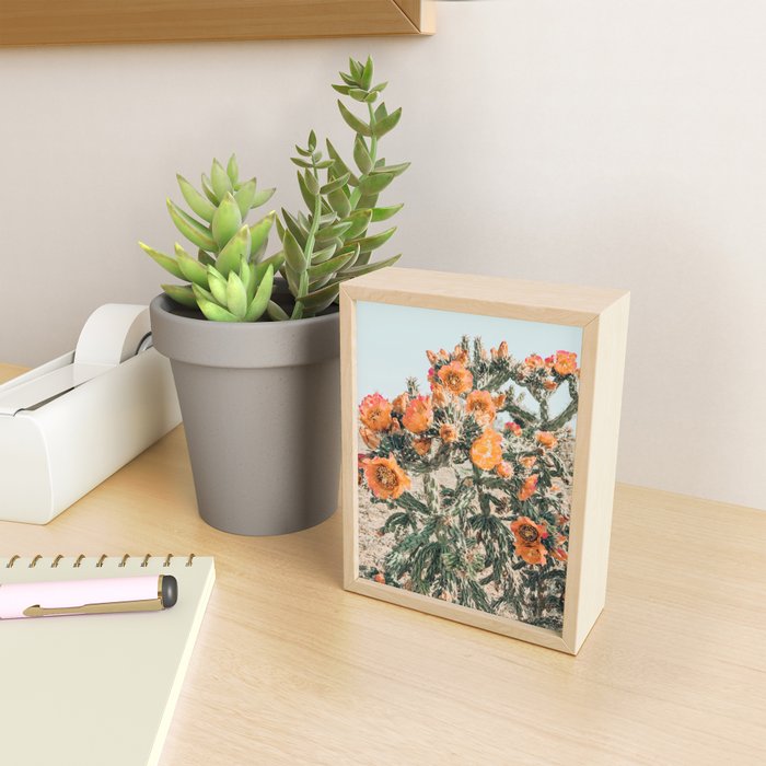 Cholla, Orange Flowering Cactus Mini Art Print Gallery Image 2