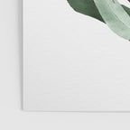 Eucalyptus - Australian gum tree Poster Gallery Image 3