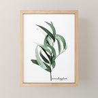 Eucalyptus - Australian gum tree Mini Art Print Gallery Image 1