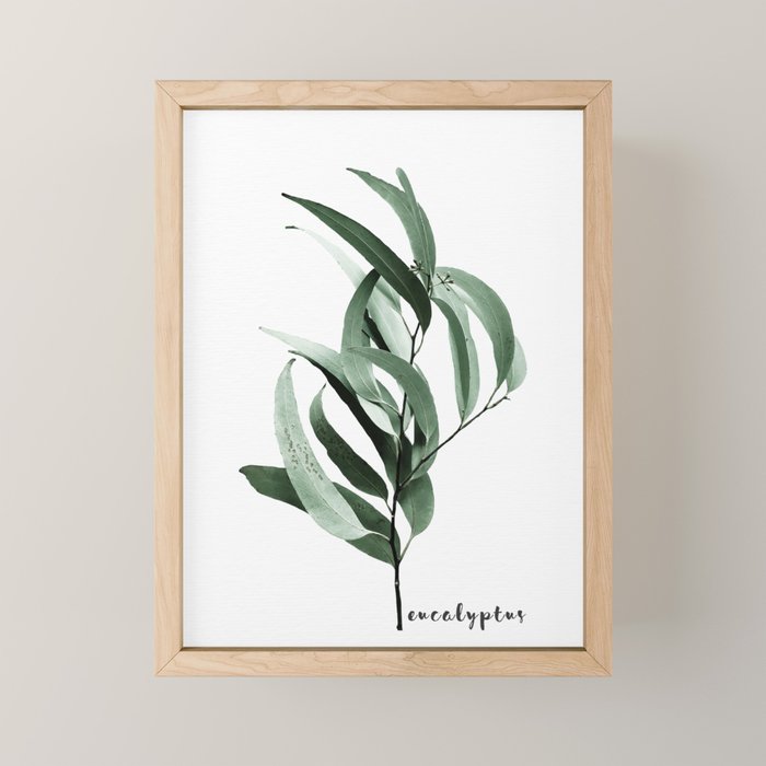 Eucalyptus - Australian gum tree Mini Art Print Gallery Image 1