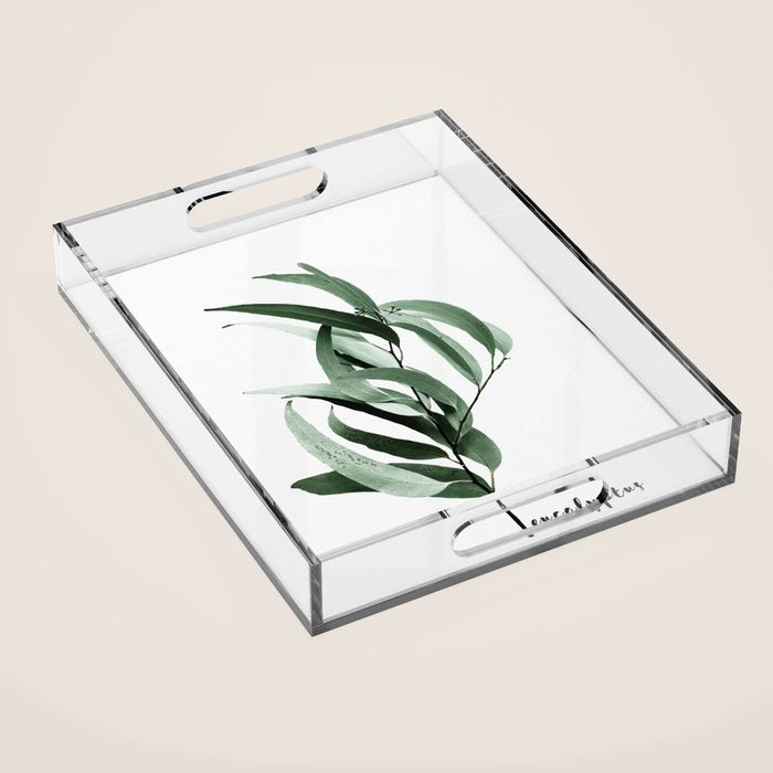 Eucalyptus - Australian gum tree Acrylic Tray Gallery Image 1