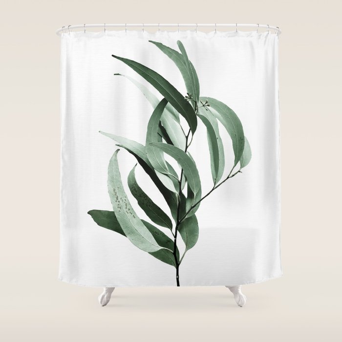 Eucalyptus - Australian gum tree Shower Curtain Gallery Image 1