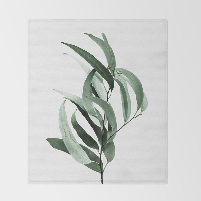 Eucalyptus - Australian gum tree Throw Blanket Gallery Image 2