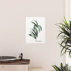 Eucalyptus - Australian gum tree Poster Gallery Image 2