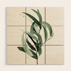 Eucalyptus - Australian gum tree Wood Wall Art Gallery Image 1