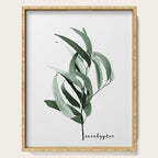 Eucalyptus - Australian gum tree Serving Tray Gallery Image 1