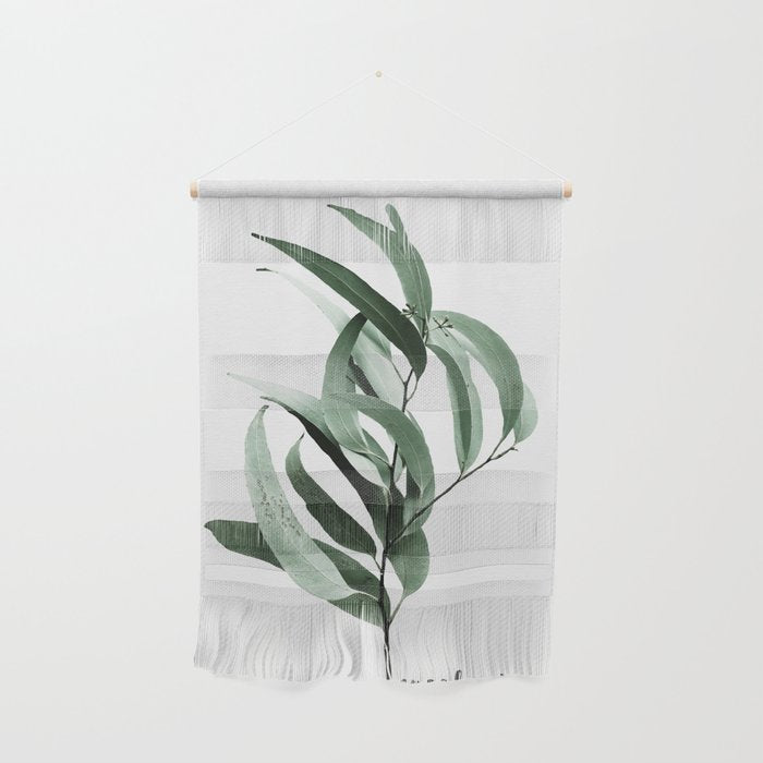 Eucalyptus - Australian gum tree Wall Hanging Gallery Image 1