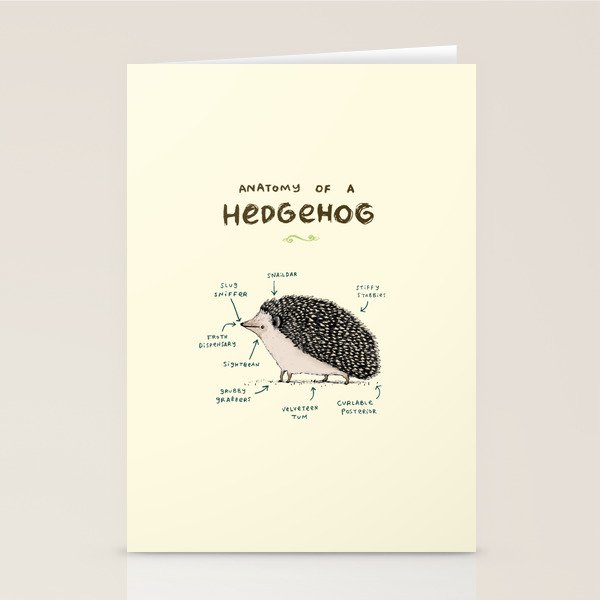 Anatomy of a Hedgehog Stationery Card Gallery Image 2