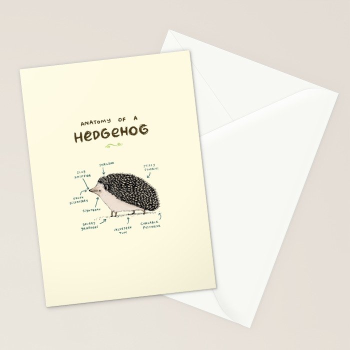 Anatomy of a Hedgehog Stationery Card Gallery Image 2