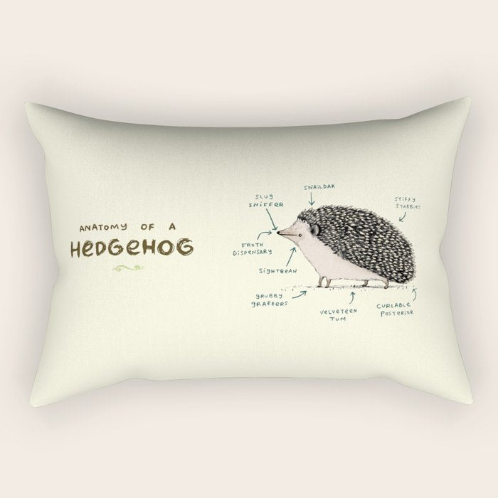 Anatomy of a Hedgehog Rectangular Pillow Gallery Image 2