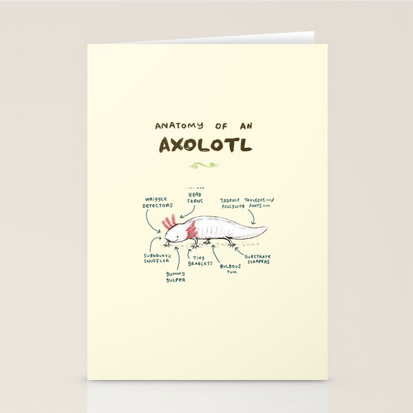 Anatomy of an Axolotl Stationery Card Gallery Image 2