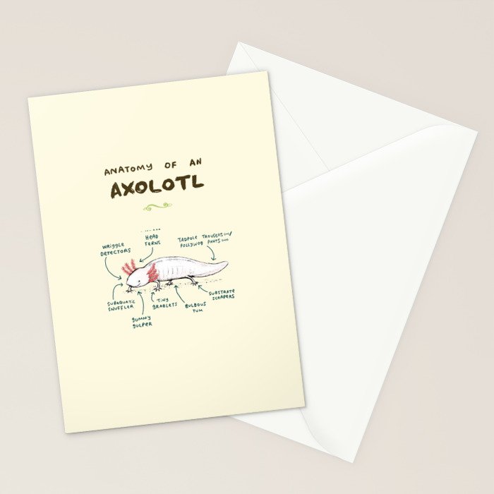 Anatomy of an Axolotl Stationery Card Gallery Image 2