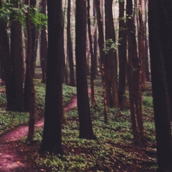 The Paths of Life Wander and Turn Coffee Mug Gallery Image 2