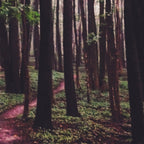 The Paths of Life Wander and Turn Coffee Mug Gallery Image 2