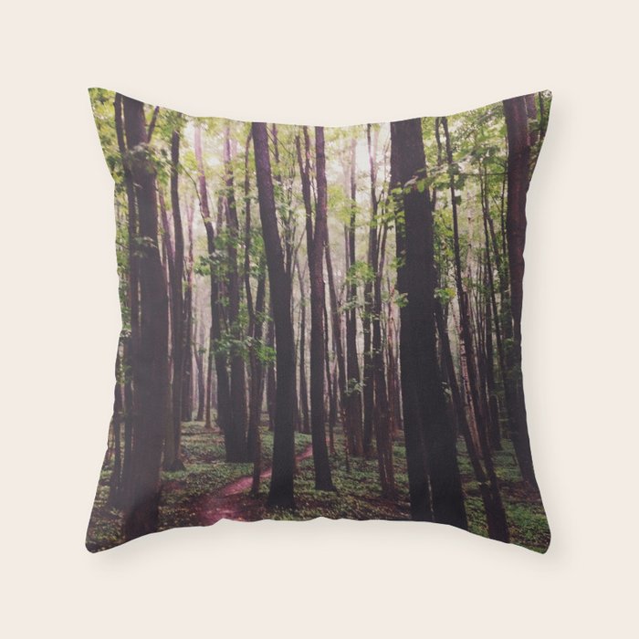 The Paths of Life Wander and Turn Throw Pillow Gallery Image 1