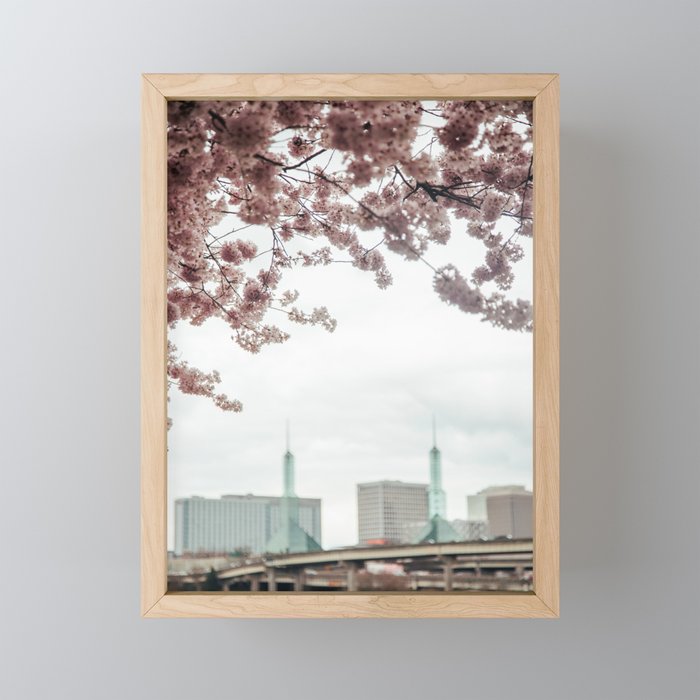 Cherry Blossoms Oregon Convention Center Mini Art Print Gallery Image 1