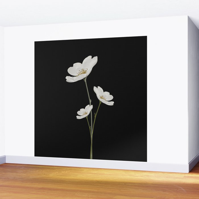 Flowers 5 Wall Mural Gallery Image 2