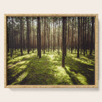 FOREST - Landscape and Nature Photography Serving Tray Gallery Image 1