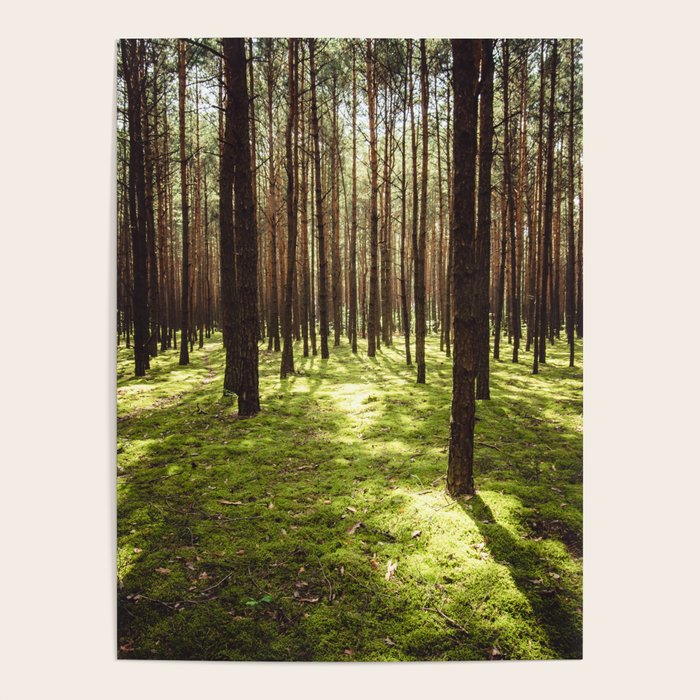 FOREST - Landscape and Nature Photography Poster Gallery Image 4