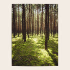 FOREST - Landscape and Nature Photography Poster Gallery Image 4