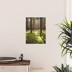 FOREST - Landscape and Nature Photography Poster Gallery Image 2