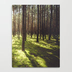 FOREST - Landscape and Nature Photography Notebook Gallery Image 4