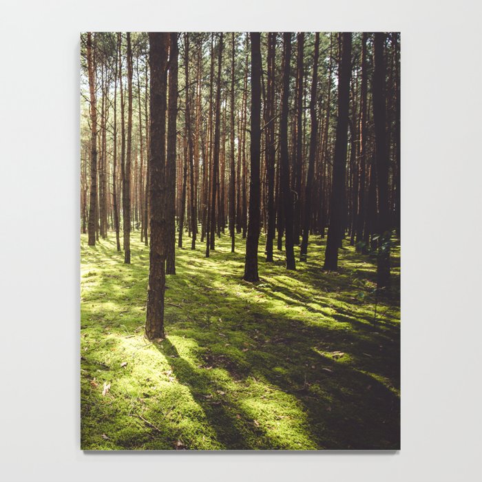 FOREST - Landscape and Nature Photography Notebook Gallery Image 4