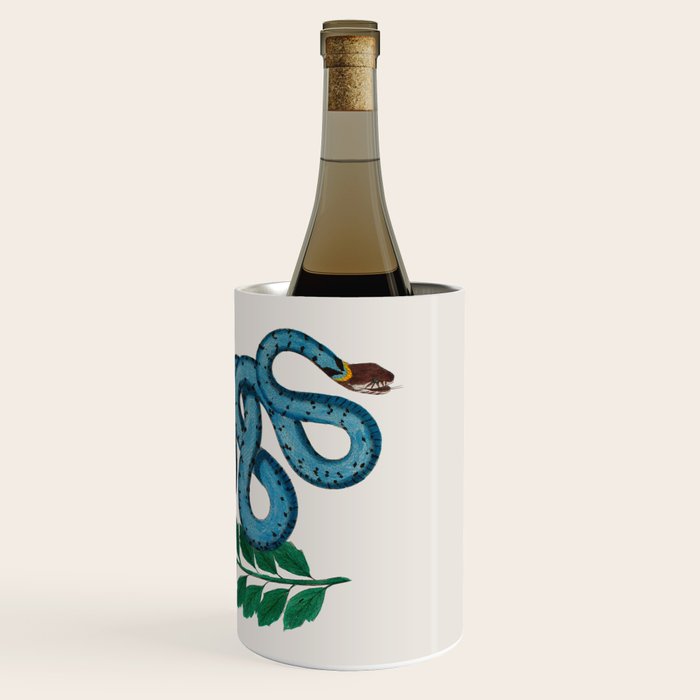 Albertus Seba Snakes Blue Snake  Wine Chiller Gallery Image 3