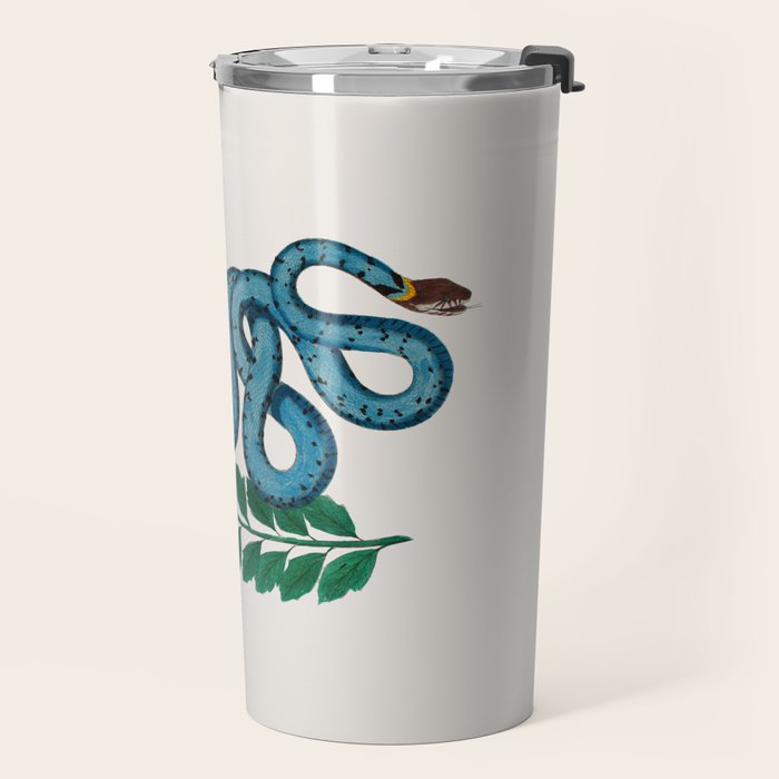 Albertus Seba Snakes Blue Snake  Travel Mug Gallery Image 2
