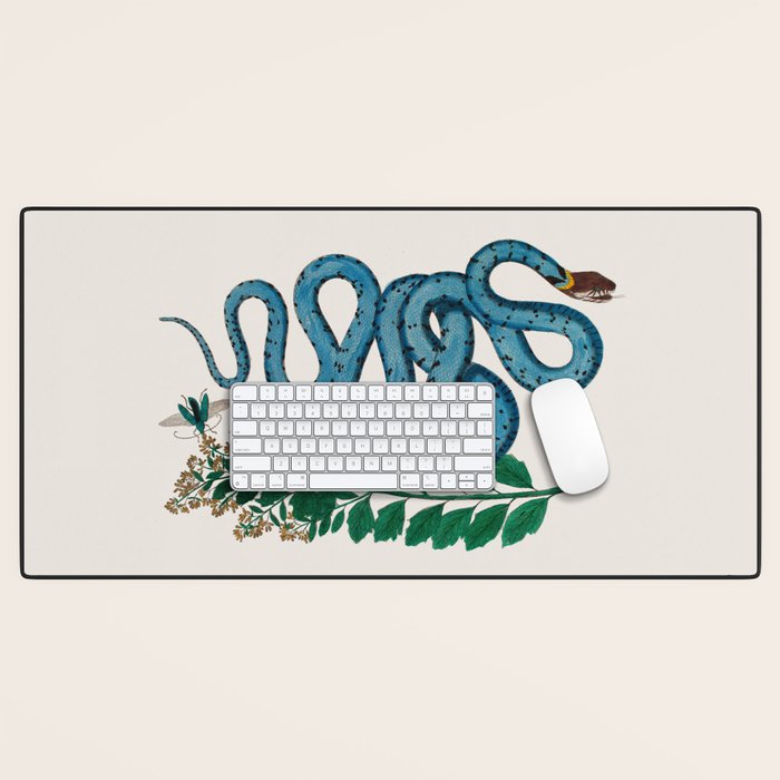 Albertus Seba Snakes Blue Snake  Desk Mat Gallery Image 1