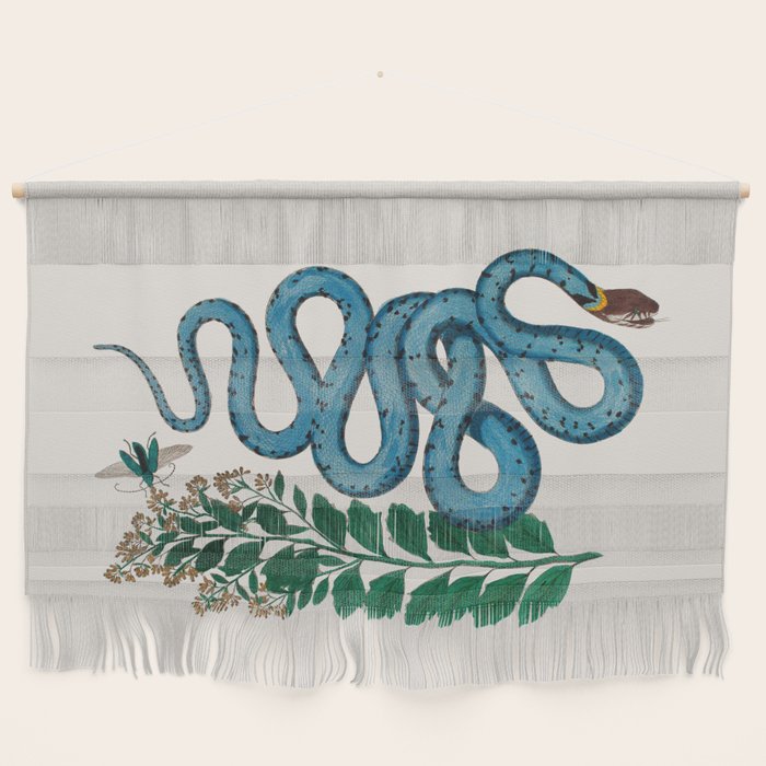 Albertus Seba Snakes Blue Snake  Wall Hanging Gallery Image 1