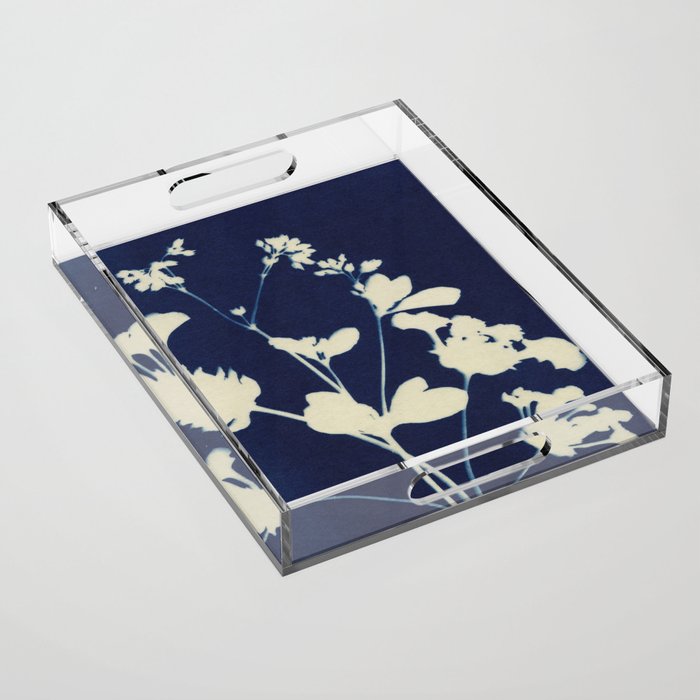 Magic in the Ordinary #12 / Dark Acrylic Tray Gallery Image 1