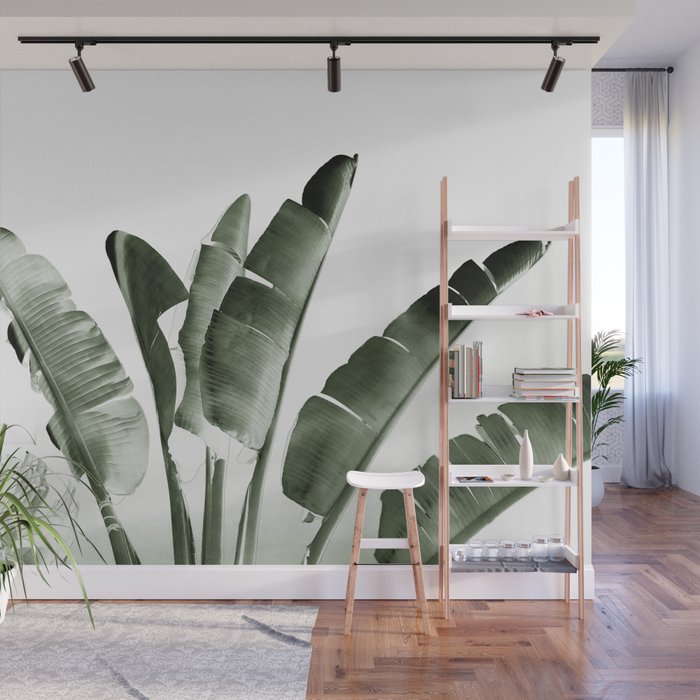 Traveler palm Wall Mural Gallery Image 1
