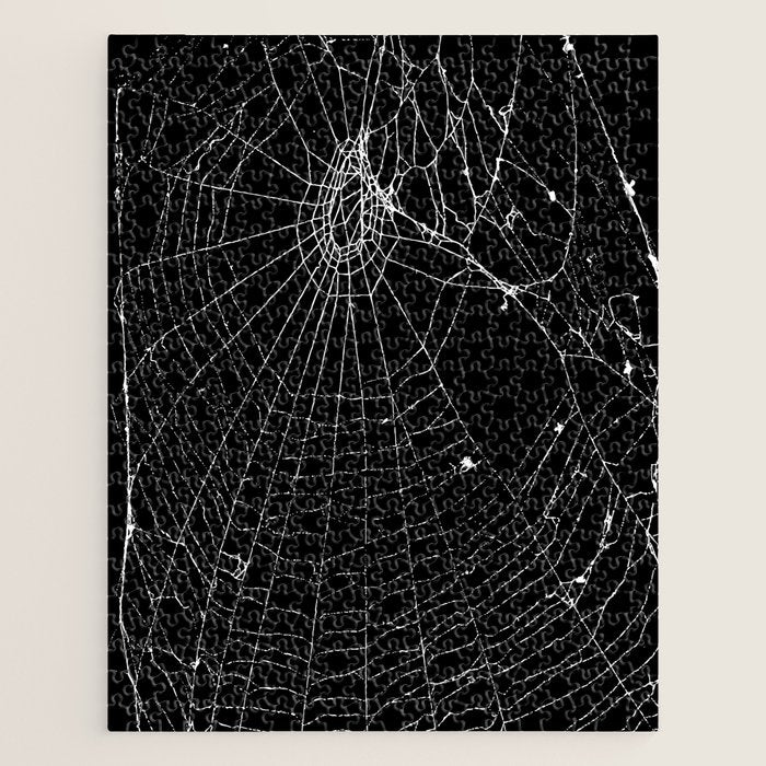 Spider Web Jigsaw Puzzle Gallery Image 1